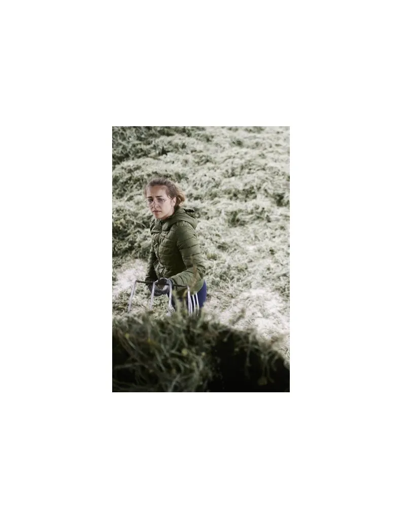 Thym-de-provence-un mas en provence.webp