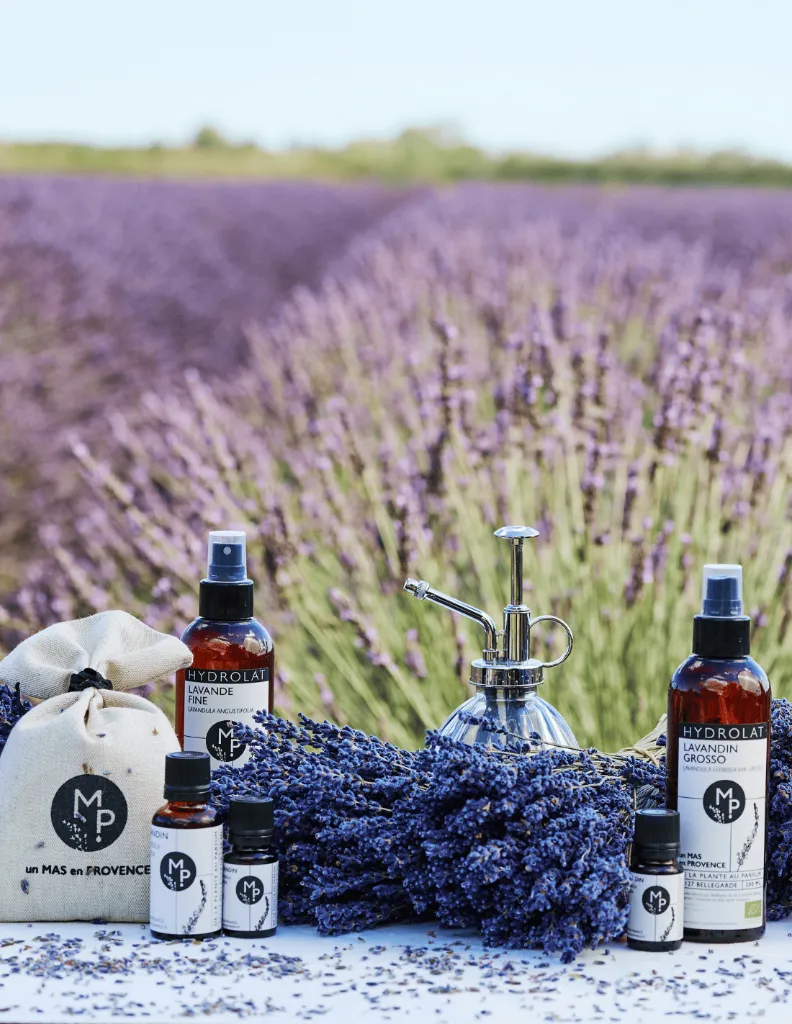 un MAS en PROVENCE Lavande.webp