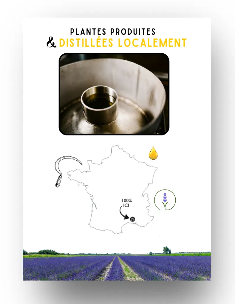 un MAS en PROVENCE distillation locale.webp