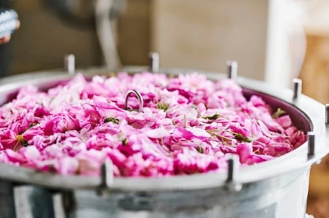 eau-florale-rose-de-mai-distillation alambic.webp