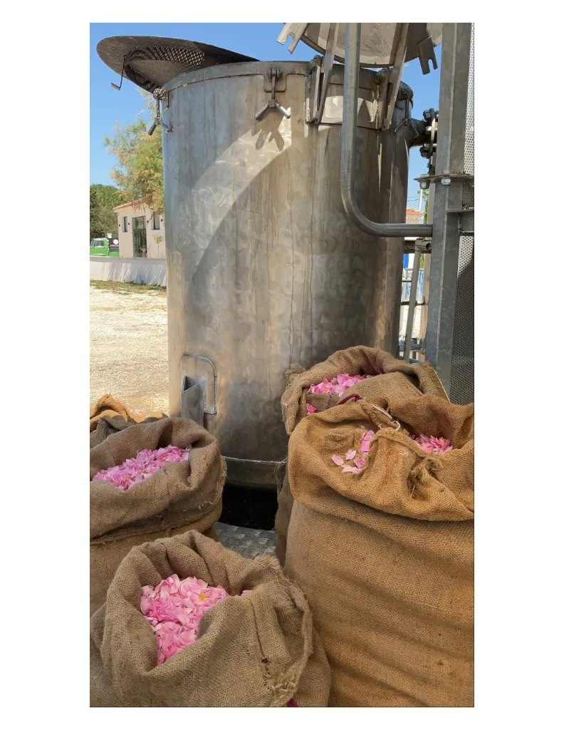 eau-florale-rose-de-mai-distillation alambic.webp