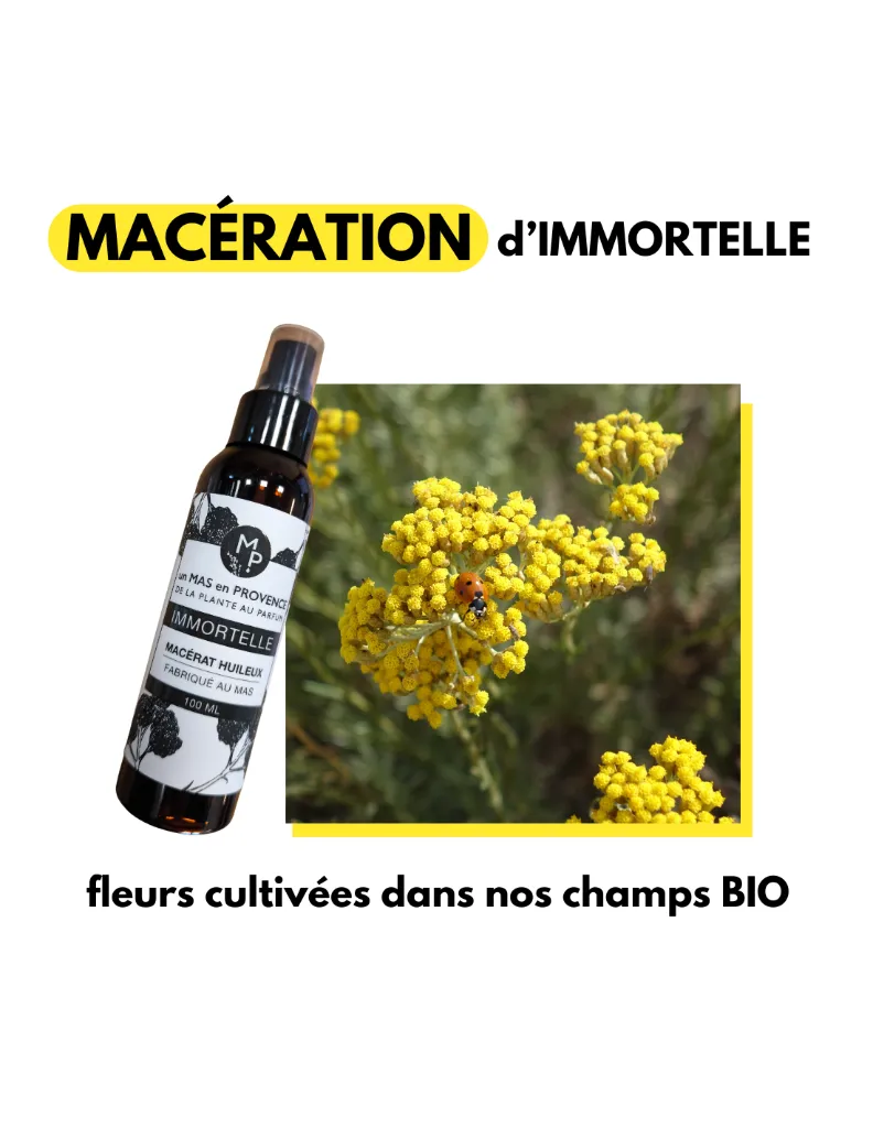 macerat-huileux-immortelle-helichryse-flacon-pompe-100ml (1).webp