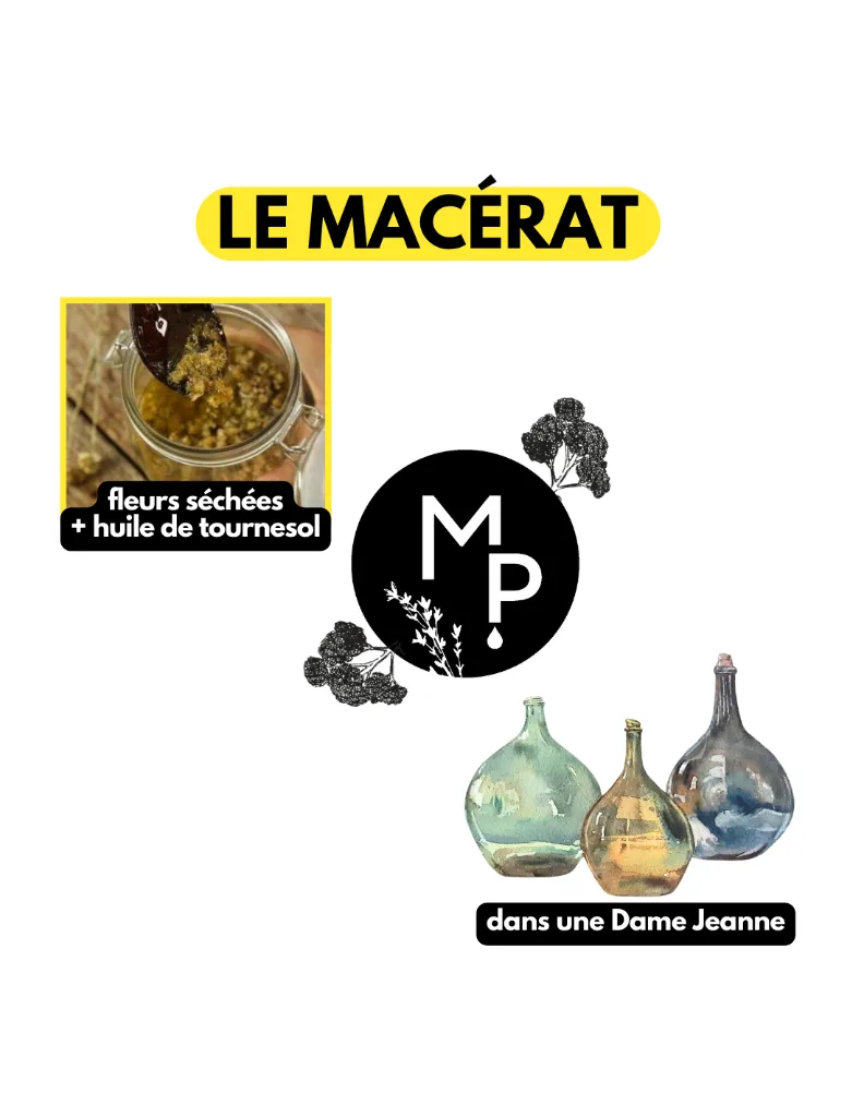 macerat-huileux-immortelle-helichryse-flacon-pompe-100ml (2).webp