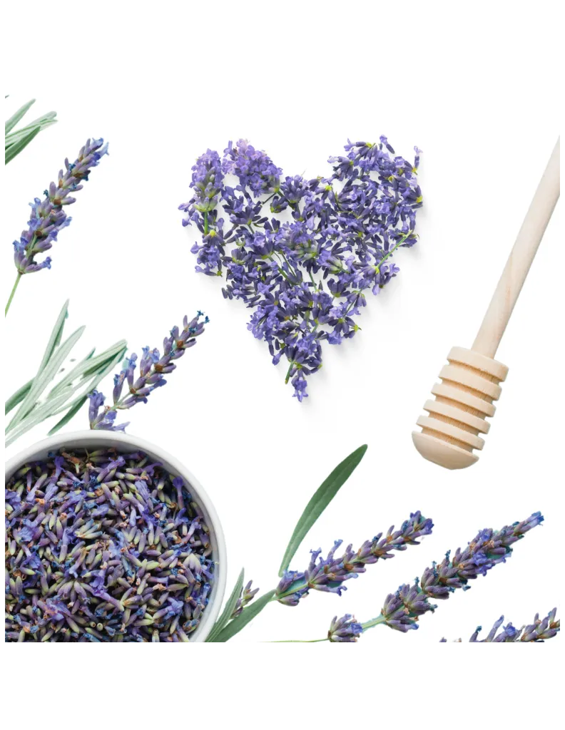 tisane-fleurs-de-lavande-fine-bio-100-grs (1).webp