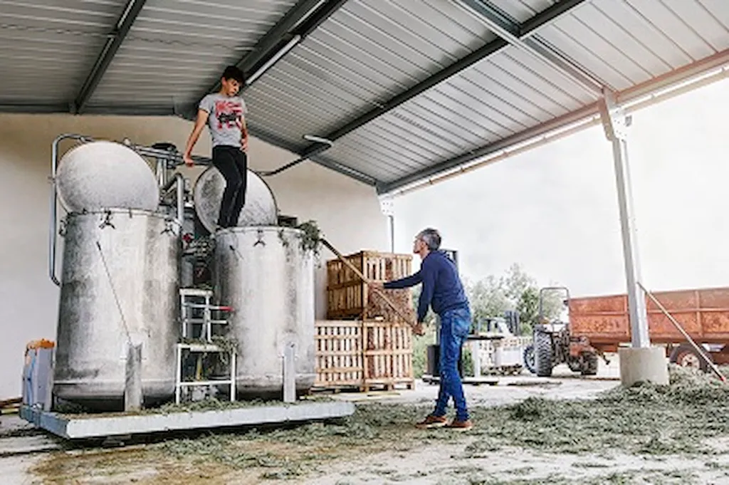 alambic-distillation-artisanale-mas-en-provence.webp