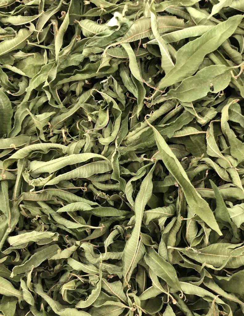 tisane-verveine-bio-en-vrac (1).webp