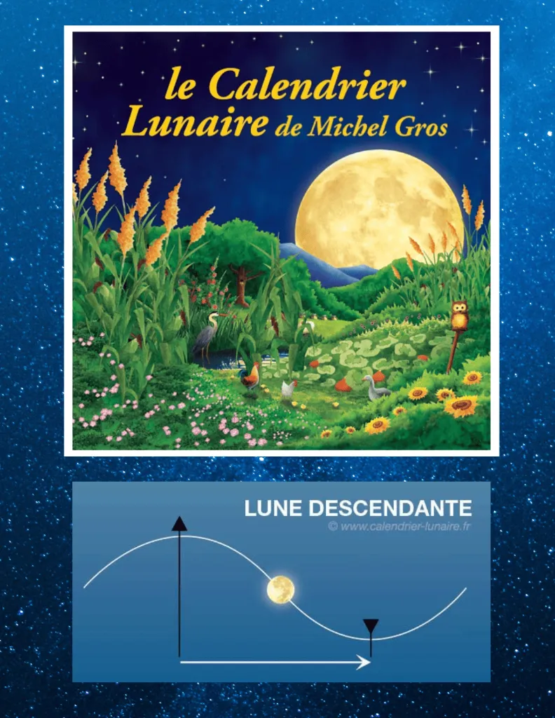 calendrier-lunaire-2026 (2).webp