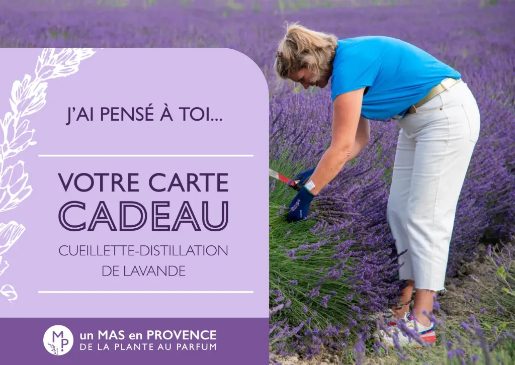 Gift Card for Harvesting and Distillation Workshop (Adulte)