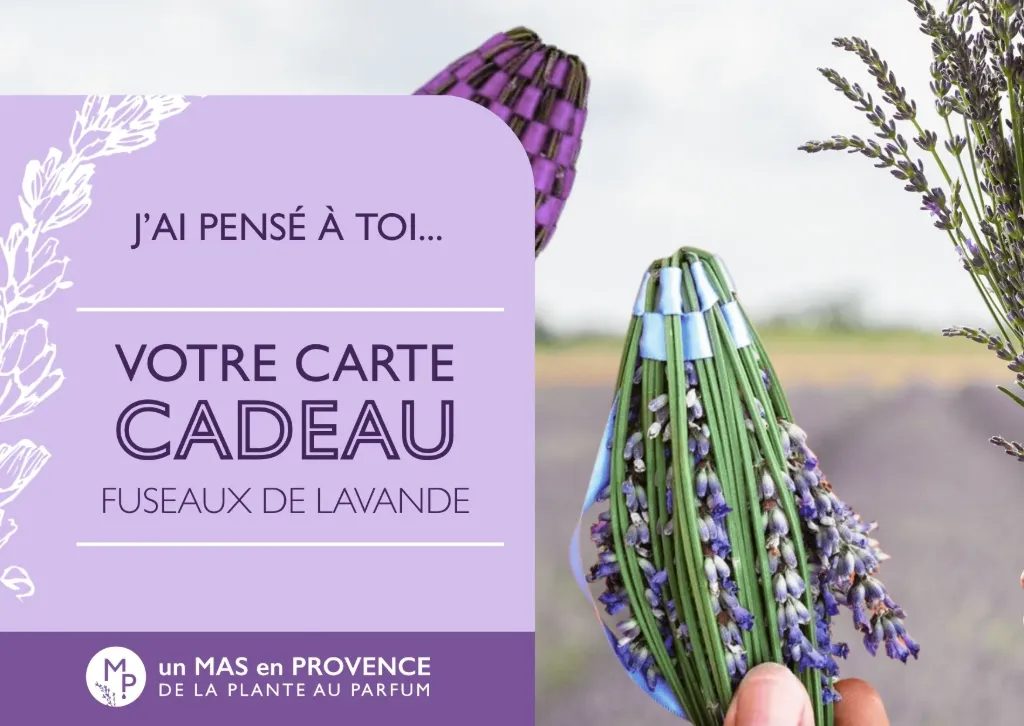 Carte Cadeau Atelier Fuseau de Lavande (Adulte)