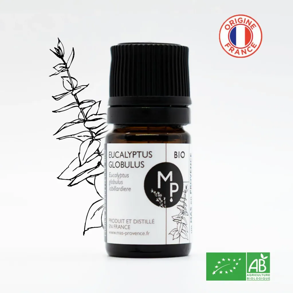 [HEEG05] EUCALYPTUS Globulus Bio 5 ml - Huile essentielle