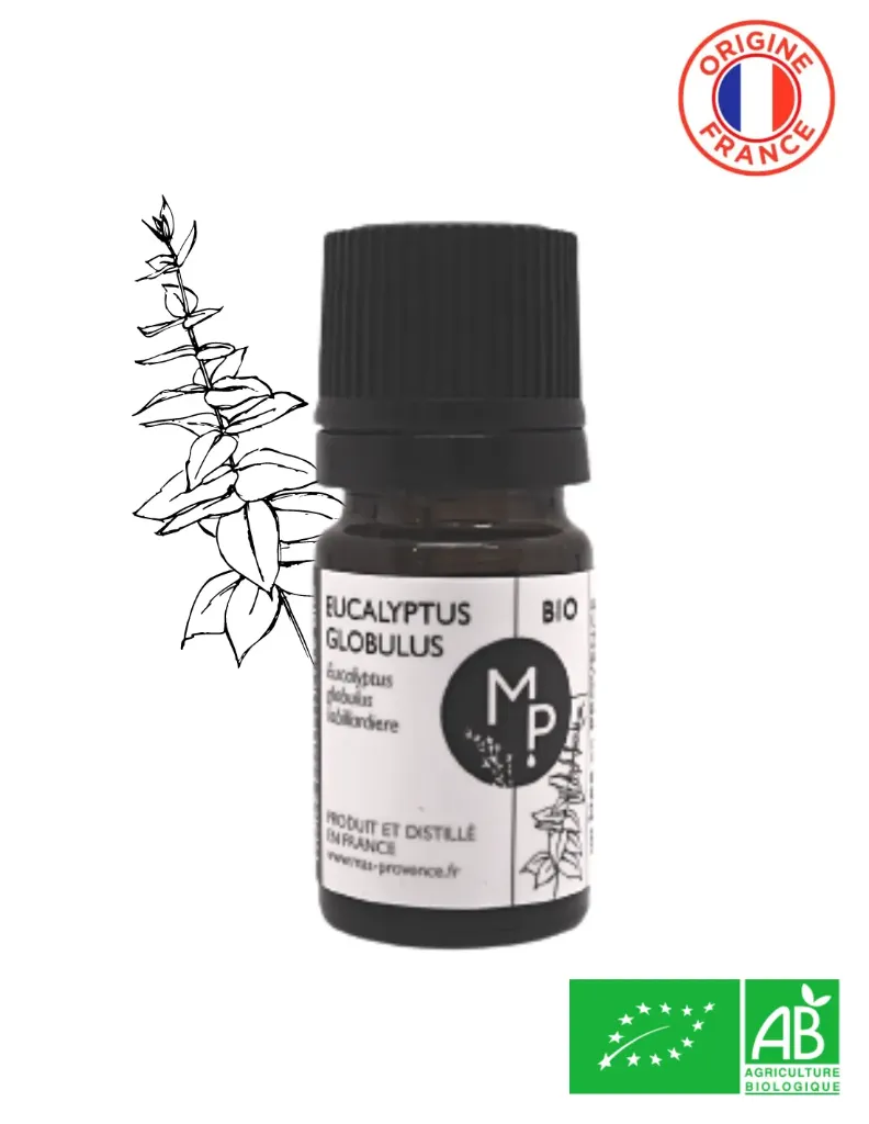 [HEEG05] EUCALYPTUS Globulus Organic 5 ml - Essential oil