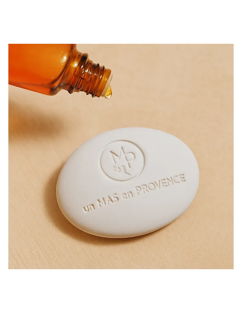 [GALMP] Handmade ceramic stone / essential oil diffuser