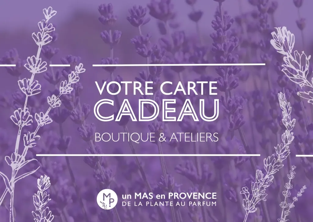 Carte cadeau - montant au choix (20-200€)